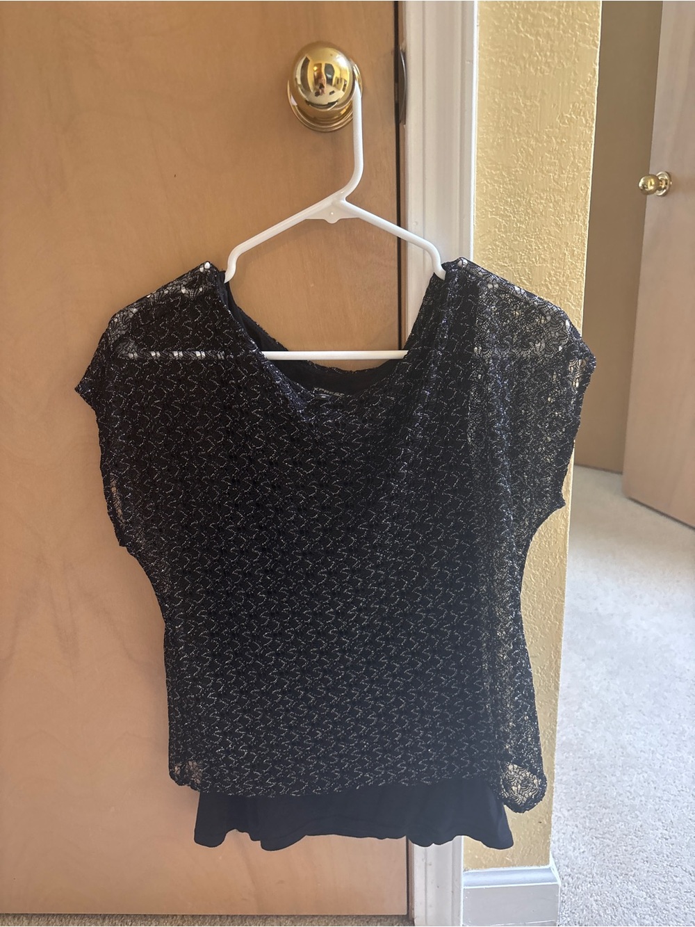 Express Black Sheer Sparkle Layered Camisole